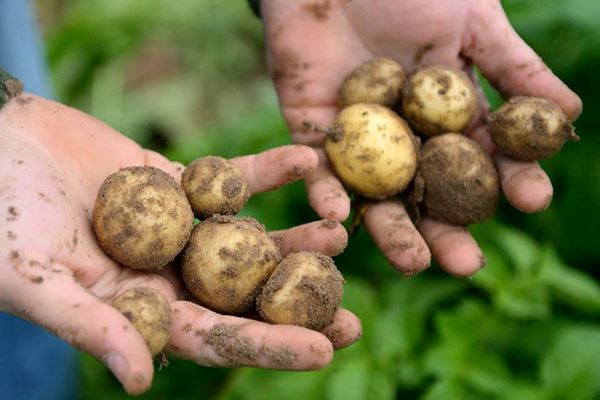 10369193 474683515967965 1880257370947603860 N